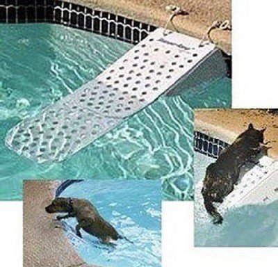 Loopplank hond voor het zwembad