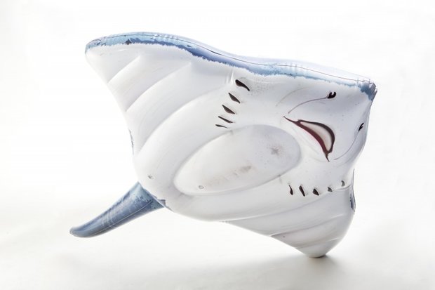 Stingray Ride On