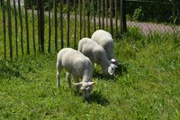 Proef de lente! 2019 op zondag 5 mei Proef de lente! 2019 op zondag 5 mei