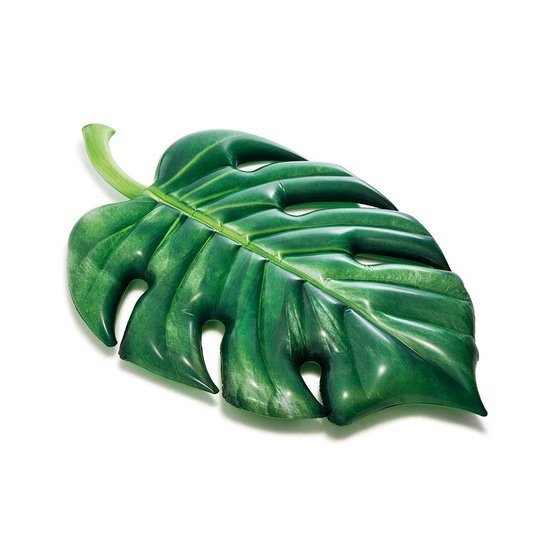 Luchtbed palmblad