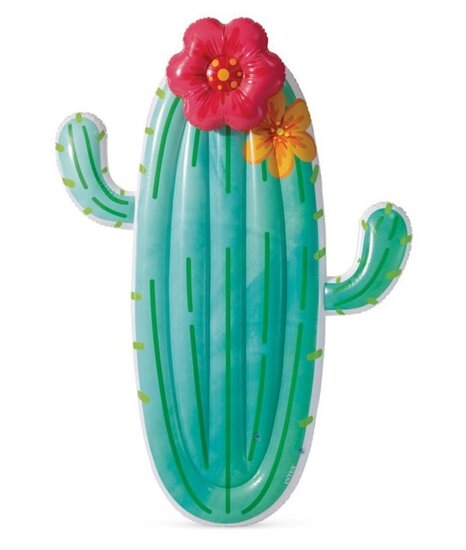 Opblaasfiguur Cactus